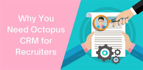 octupus crm|Iba pa.